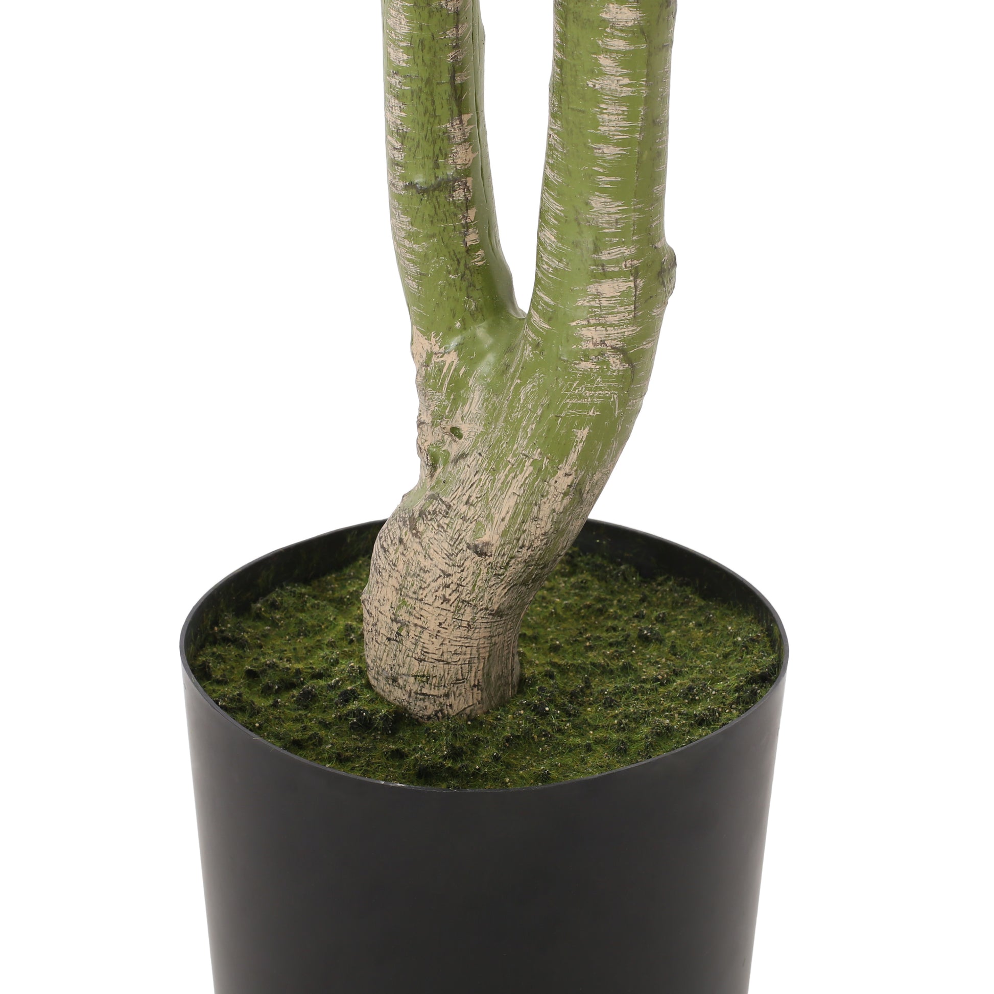 160Cm Artificial Pachira Macrocarpa Green Polyethylene